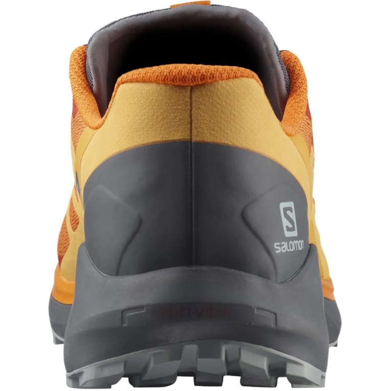 Sapatilhas Trail Running Salomon Sense Ride 4 Masculino Laranja | PT W37421